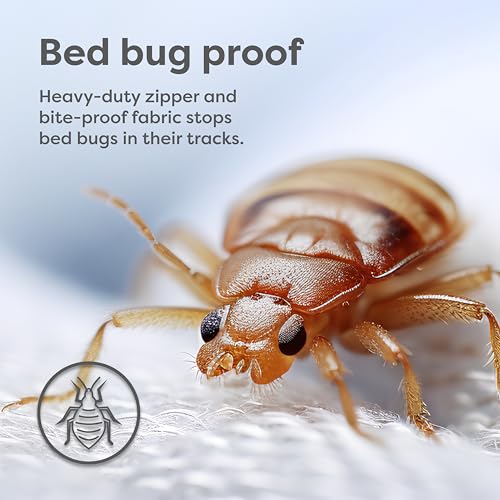 HOSPITOLOGY PRODUCTS Mattress Encasement - Zippered Bed Bug Dust Mite Proof Hypoallergenic - Sleep Defense System - King - Waterproof - Stretchable - Standard 12" Depth - 78" W x 80" L HOSPITOLOGY PRODUCTS
