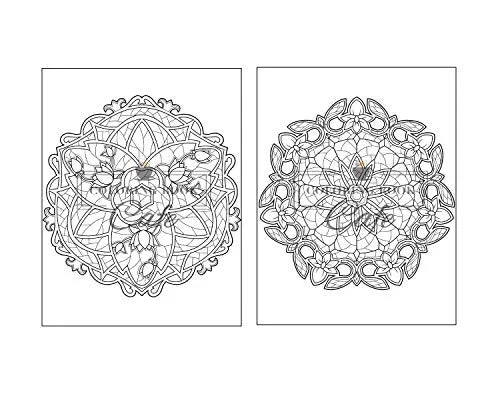 125 Mandalas: An Adult Coloring Book Featuring 125 of the World’s Most Beautiful Mandalas for Stress Relief and Relaxation Independently Published Iaerlllt