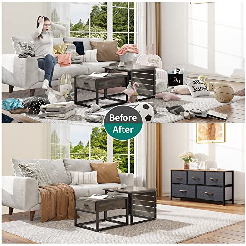 DWVO Dresser TV Stand, Fabric Dresser with 5 Drawers, Dresser for Bedroom, Wide Dresser, Storage Tower, Chest of Drawers for Closet DWVO