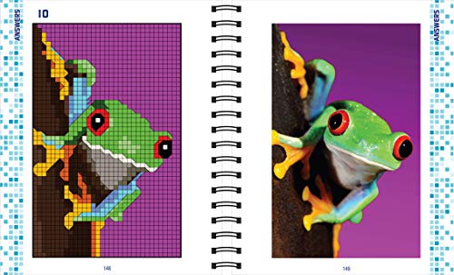 Brain Games - To Go - Pixel Puzzles Publications International, Ltd.