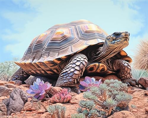 DIY Acrylic Painting Kit, Animal Turtle in Desert, Paint by Number for Adults and Beginner, Canvas Painting Gift Kit Home Wall Decor, 40x50cm WUIVCTR