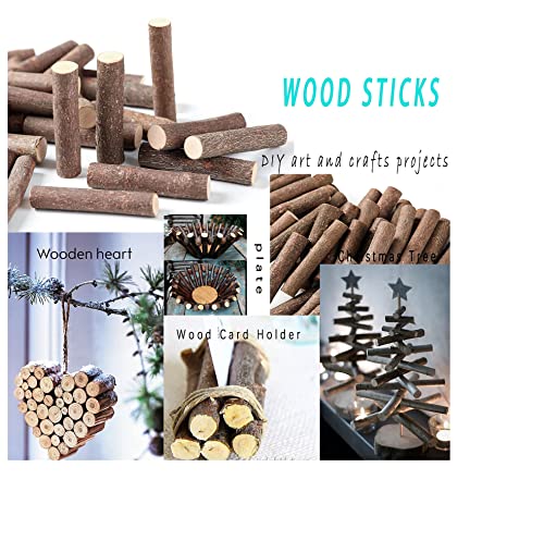 LAZACA Craft Sticks, Wood Sticks Crafting Twigs Crafts Log Toy DIY Vase Fillers Pumpkin Stems Rustic Decorations Ornaments,Loose Parts Play Materials LAZACA