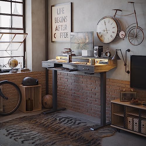 FEZIBO 55 x 25 Inch Height Adjustable Electric Standing Desk with Double Drawers&Keyboard Tray, Stand Up Desk with LED Strips, Sit Stand Desk with Monitor Stand, Rustic Grey FEZIBO