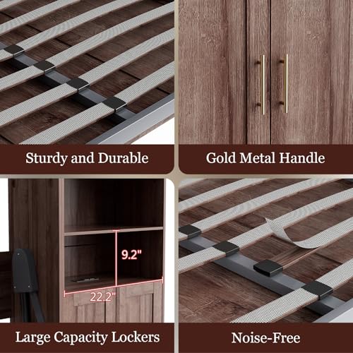 BEQAI Queen Murphy Bed with Storage Cabinets & 6 Adjustable Shelves, Foldable Space-Saving Queen Wood Wall Bedframe with USB Charging Port, Hidden Bedframe for Guest Room, Study, Home, Bedroom, Walnut BEQAI