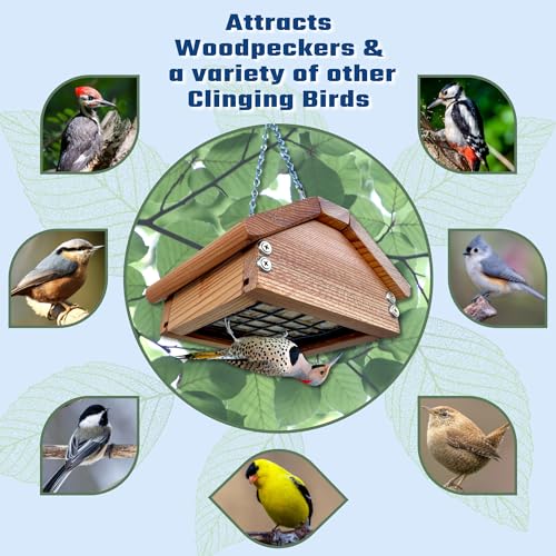 Premium Upside Down Bird Suet Feeder for Woodpeckers | Weather Resistant Cedar Wood, Durable Hardware, Long Lasting Hanging Wild Bird Feeder | Made ONWRD