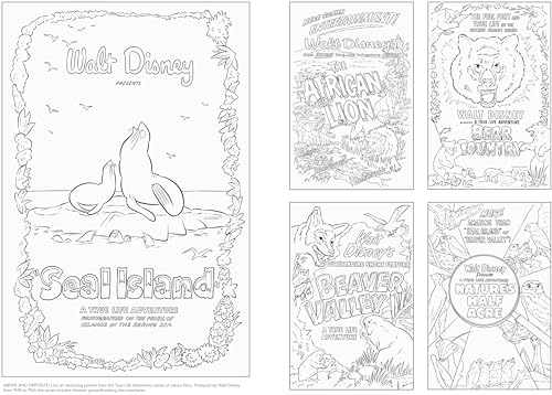 Art of Coloring: Disney 100 Years of Wonder: 100 Images to Inspire Creativity WoodArtSupply