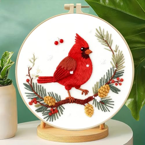Zhenqing Red Bird in Winter Embroidery Kit for Beginners, Pre-Printed 29x29cm Cotton Fabric with 20cm Hoop, Featuring Pine Cones, Berries and Snow Design (C0213)