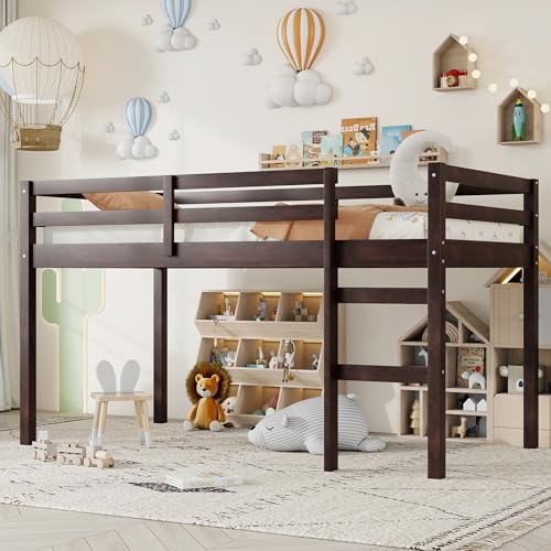 Mirightone Low Loft Bed Twin Size, Wood Junior Loft Bed Frame with Ladder for Kids Girls Boys Teens, Solid Rubberwood, Espresso Mirightone