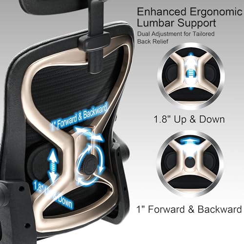 Ergonomic Office Chair, Mesh Desk Chair with Headrest, Lumbar Support, Thick Seat Cushion, Flip-up Arms, High Back Computer Task Chairs for Home Office (English, Black/Gold) CASASIO