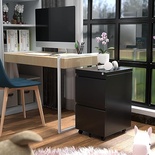 Aobabo Metal 2 Drawer Mobile File Cabinet with Lock, Under Desk Office Steel Filing Cabinet, 25.6''H Legal/Letter Size Files Storage Cabinet,Black,Fully Assembled Aobabo