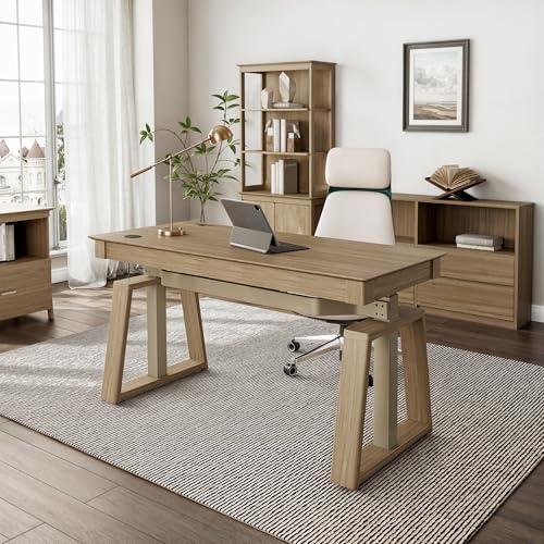 EUREKA ERGONOMIC Standing Desk,60x26 Executive Desk with 3 Drawer Adjustable Height Electric Desk Home Office Computer Desk Modern Workstation with Memory Controller EUREKA ERGONOMIC