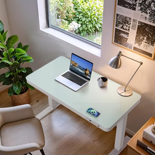 Furmax Electric Standing Desk with Drawer 48 x 24 Inch Adjustable Height Stand up Desk One-piece Board Pre-assembled Home Office Computer Desk with USB Ports, White Furmax