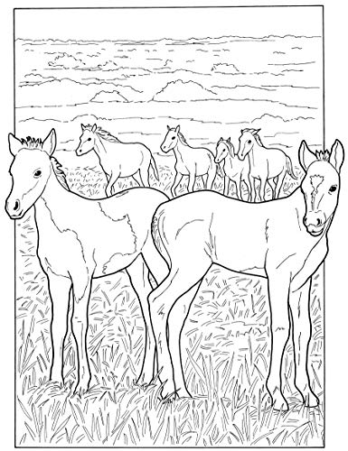 Baby Animals Coloring Book (Dover Coloring Books) Dover Publications