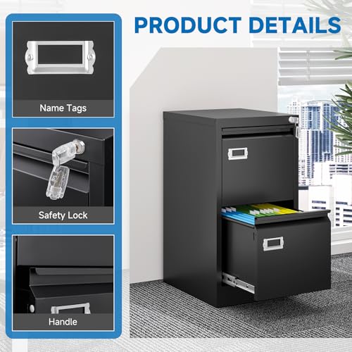 BYNSOE 2 Drawer File Cabinet with Lock Metal Vertical Filing Storage Cabinet Office Home Steel Vertical File Cabinets for A4 Legal/Letter Size Narrow File Cabinet Locked,Assembly Required BYNSOE