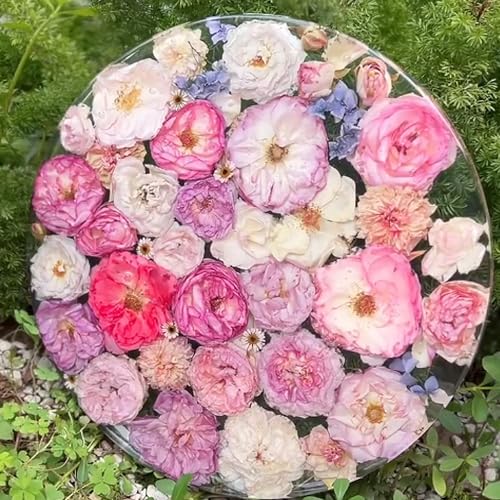 RESINWORLD 14'' XL Large Round Mold, 0.5'' Deep Tray Silicone Mold, Flat Serving Tray Mold Board Mold for Resin Casting ResinWorld