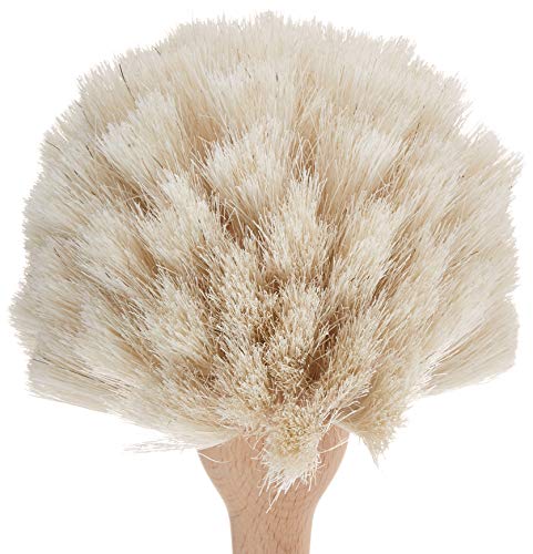 Fox Run Kitchen Brush, Natural Horsehair Fiber Dish and Glass Brush, 10" Fox Run