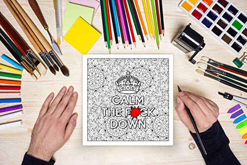 Swear Word Adult Coloring Book: Fresh Out of F*cks WoodArtSupply