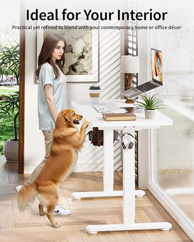 BIZUM Standing Desk Electric Adjustable Computer Desk-Stand up Desk Office Gaming Home Office Memory Desks 48x24 inches White BIZUM