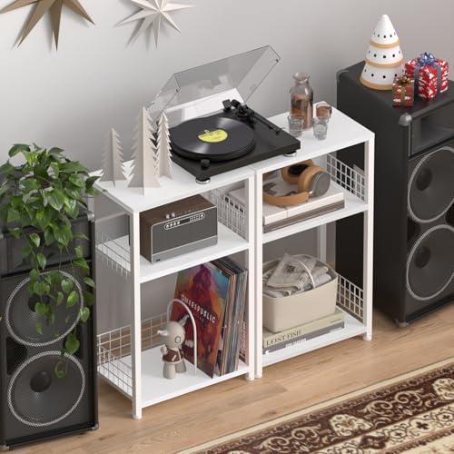 LELELINKY White Side Table with Storage, Small End Table Printer Stand for Small Spaces, Record Player Stand with Vinyl Storage, Sofa Night Stands for Living Room Bedroom LELELINKY