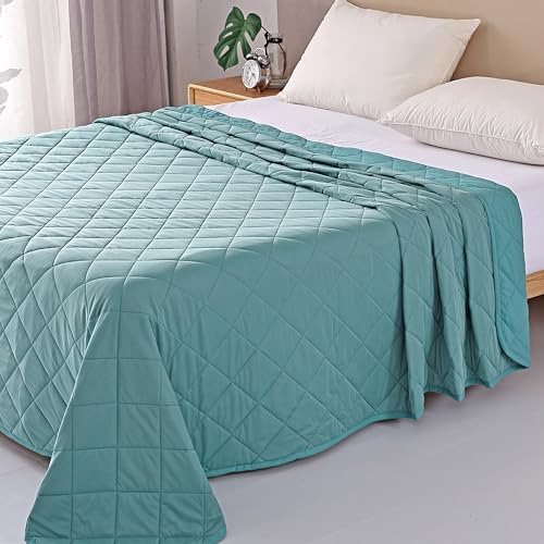 EVOLIVE Elastane Diamind Quilted All Season Light Weight Single Reversible Cooling Quilt/Comforter (Blue, Full/Queen) EVOLIVE