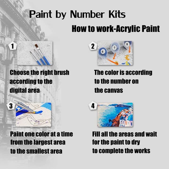 Bimkole Paint by Numbers Kit for Adults Beginner Octopus, DIY Oil Painting Kit on Canvas with Paintbrushes and Acrylic Pigment, for Paint by Numbers for Beginner, for Home Wall Decor (16x20Inch)wB2596 Bimkole