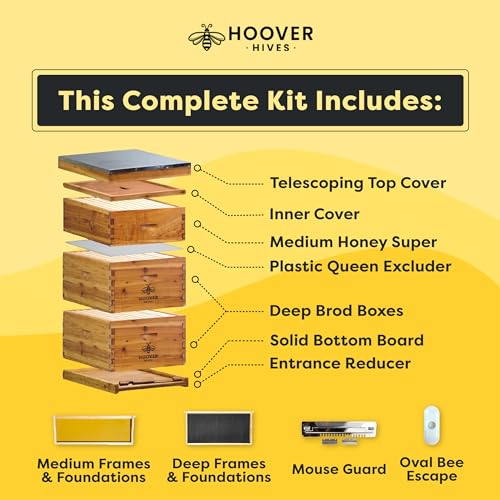 Hoover Hives: The Original Beeswax Coated Beehive Kit. Includes 2 Deep & 1 Medium Boxes with Wooden Frames & Heavy Wax Coated Foundations. Easy Assembly with Predrilled Holes & Screws (Unassembled) Hoover Hives