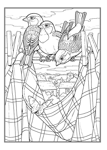 Creative Haven Glorious Songbirds Coloring Book (Adult Coloring Books: Animals) WoodArtSupply