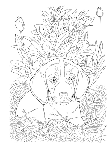 Creative Haven Lovable Cats and Dogs Coloring Book: Relax & Unwind with 31 Stress-Relieving Illustrations (Adult Coloring Books: Pets) Dover Publications
