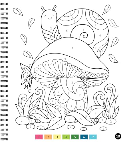Brain Games - Color by Number - Large Print: Garden WoodArtSupply