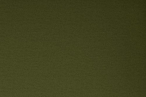 Novogratz Brittany Sofa Futon, Premium Linen Upholstery and Wooden Legs, Green Linen Novogratz