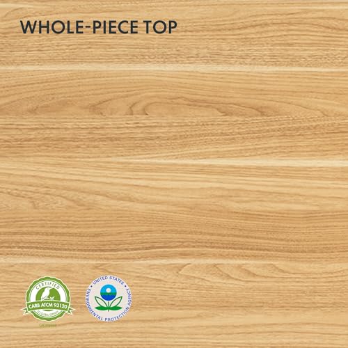 FLEXISPOT E6 3-Stage Dual Motor Electric Standing Desk 55 x 28 Sit Stand Up Desk, Holds 220 lbs, Adjustable Height w/Memory Presets, One-Piece Maple Desktop & Black Frame, Ships in 2 Boxes FLEXISPOT