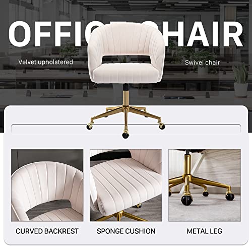Home Office Chair Swivel Velvet Desk Chair Accent Armchair Upholstered Modern Tufted Chairs with Gold Base for Girls Women Ergonomic Study Seat Computer Task Stools for Living Room(Cream) KCC