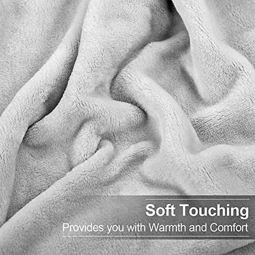 EASELAND Soft Queen Size Blanket Warm Microplush Lightweight Thermal Fleece Blankets for Couch Bed Sofa,90x90 Inches,Silver Gray EASELAND