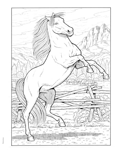 Adult Coloring Great Horses Coloring Book (Adult Coloring Books: Animals) Dover Publications