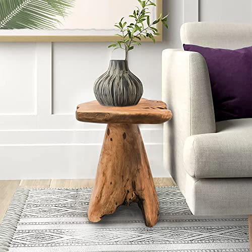 Warmaxx Natural Irregular Shape Tree Stump End Table Plant Stand 14"x13"x18"H Solid Cedar Wood Outdoor Rustic Sit Foot Stools Live Edge Coffee Side Table Living Room Bedroom Outdoor Garden Warmaxx