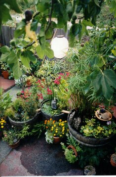 Master Garden Products Reclaimed Used Wine Barrel Planter, Brown, Outdoor Master Garden Products