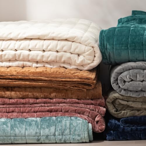 RECYCO Luxury Velvet Quilt Set Full Queen Size, Lightweight Velvet Comforter Set, Oversized Bedspread Coverlet Quilted Bedding Set, with 2 Matching Pillow Shams, for All Season, Cream White RECYCO