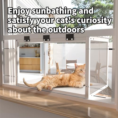 Window cat Perch Catio. Cat Window Box. Wood Window Catio. Cat Catio Window Perch. Window Catio for Indoor Cats. ZSHLXM ZSHLXM