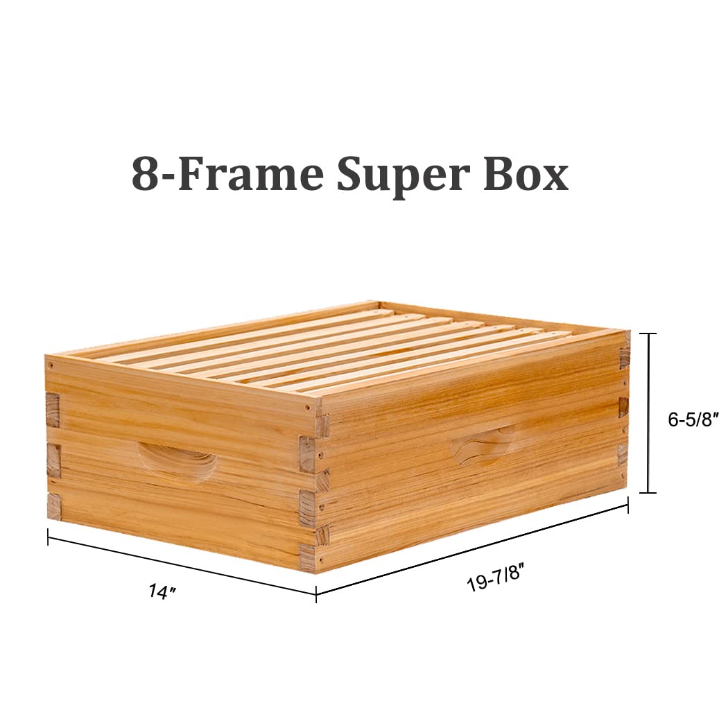 BeeCastle 8 Frame Langstroth Bee Hive Coated with 100% Beeswax Includes Beehive Frames and Waxed Foundations (1 Deep Box & 1 Medium Box) BeeCastle