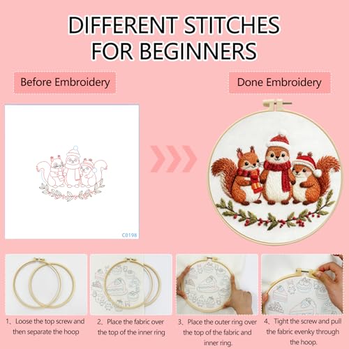 Zhenqing Three Christmas Squirrels Embroidery Kit for Beginners, Pre-Printed 29x29cm Circular Cotton Fabric with 20cm Hoop, Festive Animal Holiday Decor (C0198)