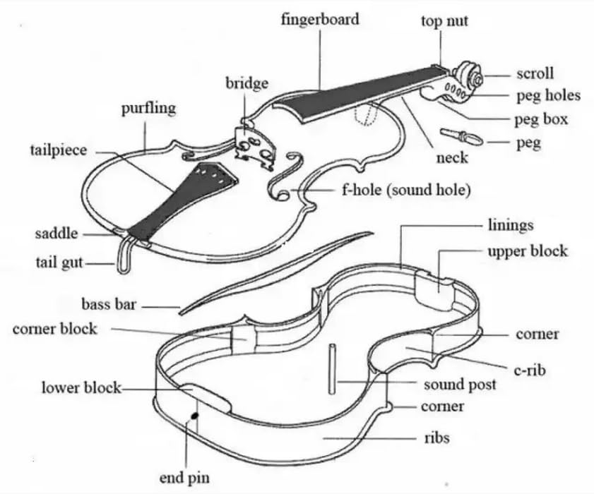Jiayouy Violin Parts & Accessories 4/4 Violin DIY Kit for Students Beginners Music Lover Make Your Own Violin Jiayouy