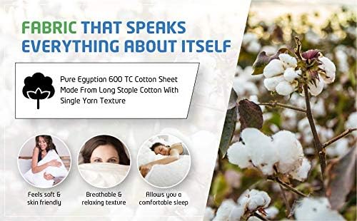 PLUSHY COMFORT Luxury Queen Size Duvet Cover Set with 2 Pillow Case in 100% Egyptian Cotton Fabric, 100% Long Staple Cotton Single Yarn, Zipper Clouser Queen Duvet Cover Set in 600 Tc Fabric PLUSHY COMFORT