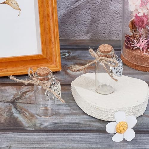 DELORIGIN 2pcs Pet Hair Glass Memorial Bottle Wishing Bottle with Heart Pendants and Cork Stopper Dog Cat Glass Tube Keepsake Memorial Urn Pet Sympathy Glass Vial Remembrance Gift for Pet Ashes Hair