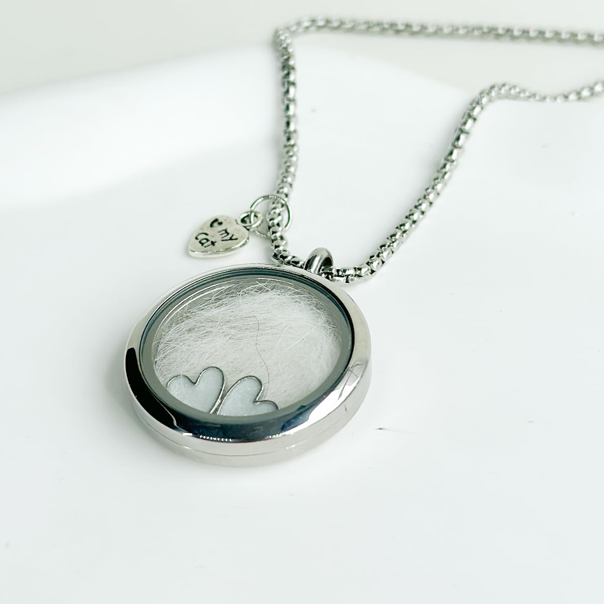 Lifelisa Dog Fur Hair Keepsake Necklace, Ashes Memory Urn with Charm, Glass Circle Memorial Pendant Necklace, Pet Cremation Memorial Jewelry for Women Men, Vial Necklace for Ashes Lifelisa