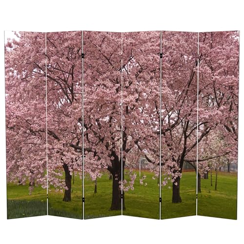 Red Lantern 6 ft. Tall Double Sided Cherry Blossoms Canvas Room Divider 6 Panel Freestanding Folding Privacy Screen, Partition, and Separator for Modern and Contemporary Bedroom, Home Office, Studio Red Lantern