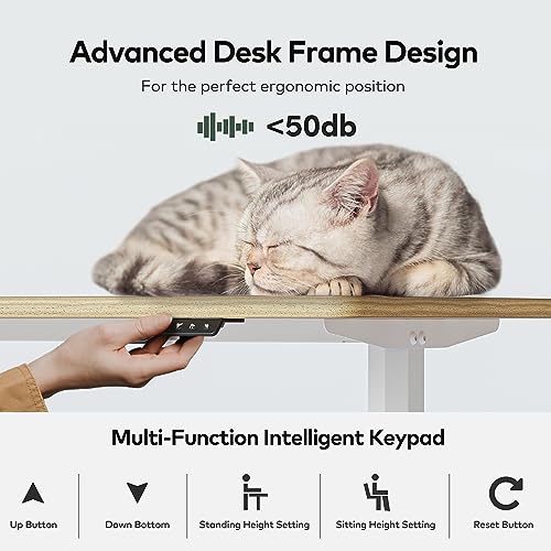 FAMISKY Electric Standing Desk, 63 x 24 Inches Height Adjustable Desk, Ergonomic Home Office Computer Workstation with Splice Board, Light Rustic Brown FAMISKY