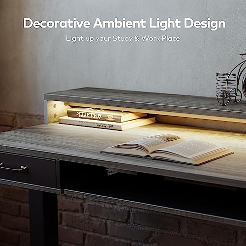 FEZIBO 55 x 25 Inch Height Adjustable Electric Standing Desk with Double Drawers&Keyboard Tray, Stand Up Desk with LED Strips, Sit Stand Desk with Monitor Stand, Rustic Grey FEZIBO