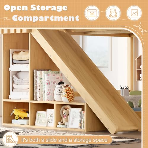 Bellemave Queen Size Kids Loft Bed with Storage Shelves & Cabinet, Solid Wood Loft Bed Frame with Detachable Slide & Ladders for Girls Boys (Natural/Queen) Bellemave