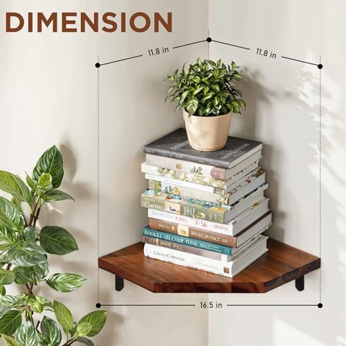 Demigo Corner Shelf Wall Mount, Set of 2 Solid Acacia Wood 10.3 x 16.5 inches Floating Corner Shelves, Smooth - Durable - Attractive Corner Shelves for Bedroom Living Room Bathroom Kitchen Demigo