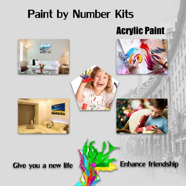 Bimkole DIY Oil painting of a horse Paint by Number Kits Animals on Canvas, Acrylic Paint Beginner Drawing Paintwork with Paintbrushes Perfect for Relaxation and Home Wall Decor Arts 16x20 inch Bimkole